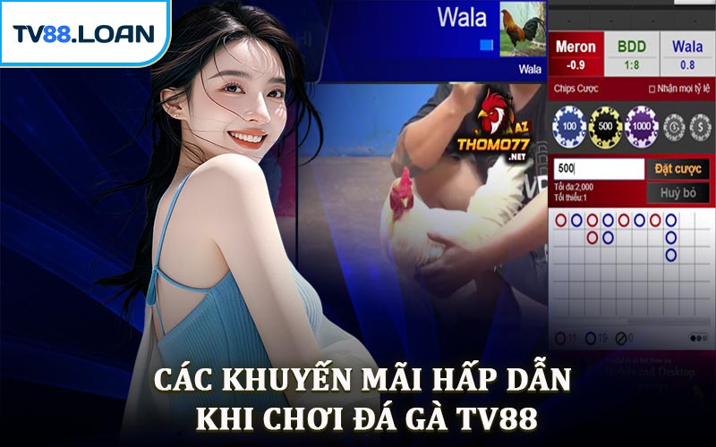 Các Khuyến Mãi Hấp Dẫn Khi Chơi Đá Gà TV88
