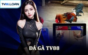 Đá Gà TV88