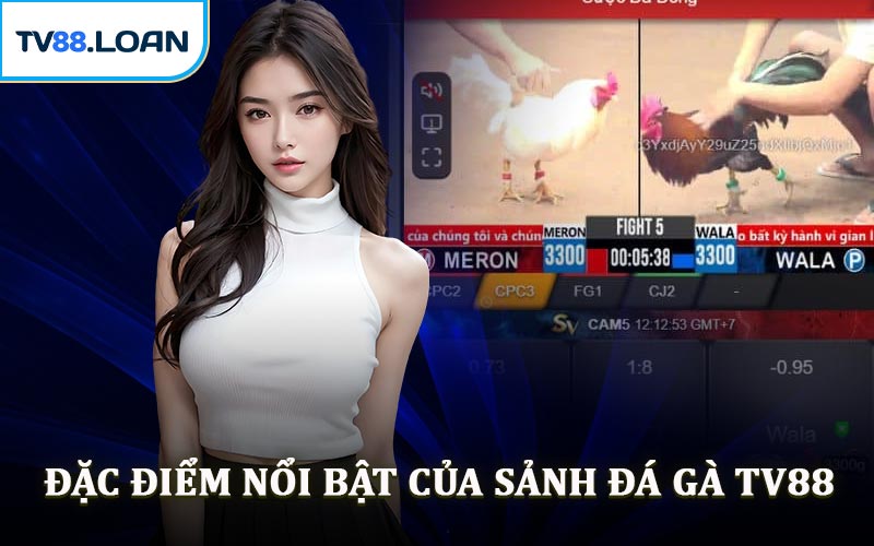Đặc Điểm Nổi Bật Của Sảnh Đá Gà TV88