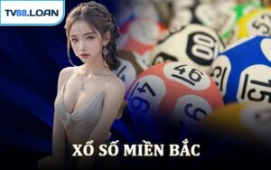 Xổ Số Miền Bắc