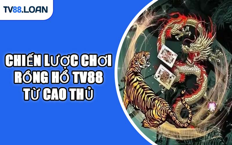 Chiến Lược Chơi Rồng Hổ TV88 Từ Cao Thủ