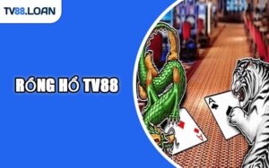 Rồng Hổ TV88